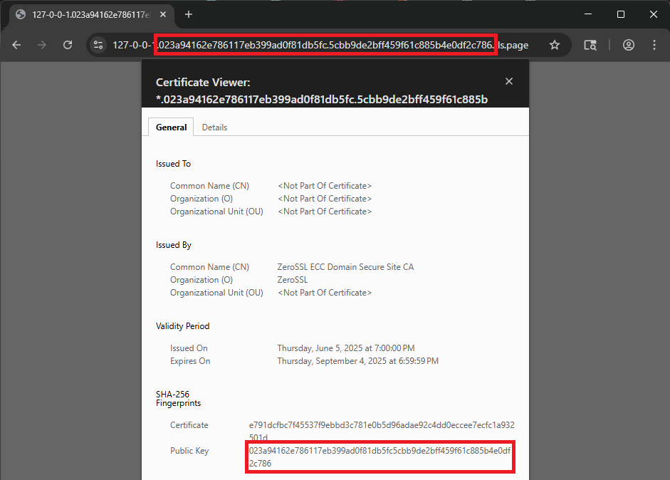Screenshot showing the Chrome certificate viewer. The URL and SHA-256 fingerprint are highlighted, showing that the fingerprint is contained in the hostname.